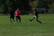OTFL Gallery Image